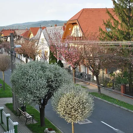 Apartman Boutique 